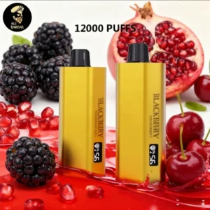 Alibarbar TEQ 12000 PUFFS-Blackberry pomegranate Cherry