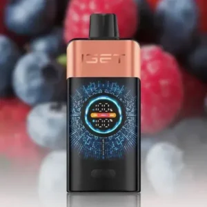 IGET One 12000 Puffs-Blueberry raspberry