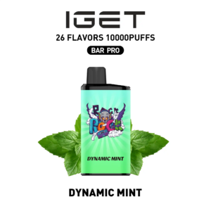 IGET Bar Pro 10000 Puffs-Dynamic mint