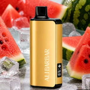 Alibarbar Ltd 9000 Puffs-Watermelon ice