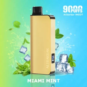 Alibarbar 9000 Puffs-Miami mint