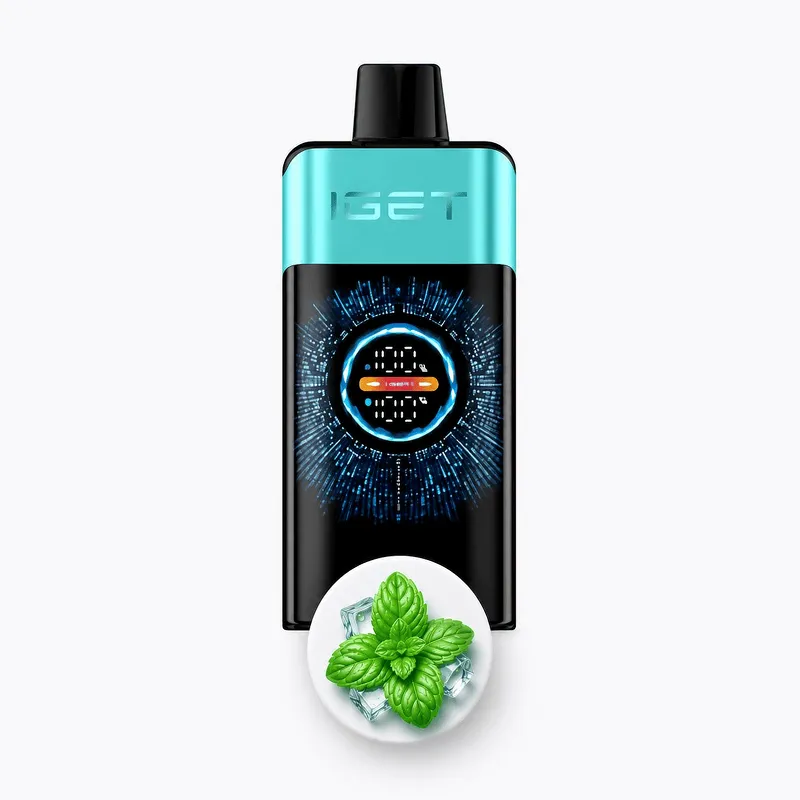 IGET One 12000 Puffs-Mountain spring mint ice