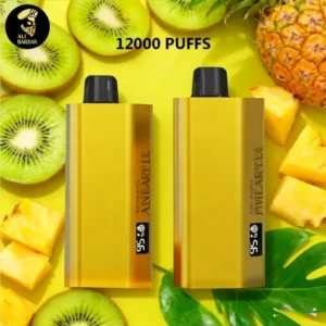 Alibarbar TEQ 12000 PUFFS-Kiwi pineapple