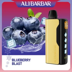 Alibarbar 12000 Puffs-Blueberry Blast