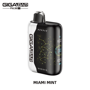 GIGABAR PULSE X 25000 PUFFS-Miami mint