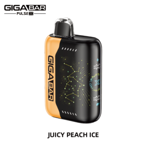 GIGABAR PULSE X 25000 PUFFS-Juicy peach ice