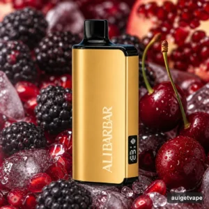 Alibarbar Ltd 9000 Puffs-Blackberry pomegranate Cherry