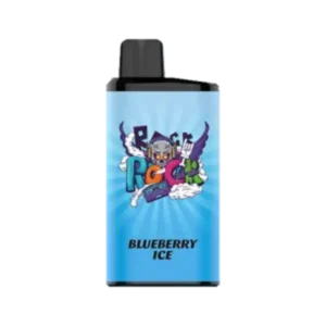 IGET Bar Pro 10000 Puffs-Blueberry lce