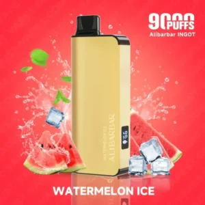 Alibarbar 9000 Puffs-Watermelon ice