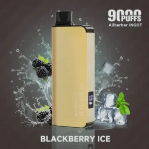 Alibarbar 9000 Puffs-Blackberry ice