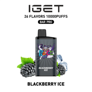 IGET Bar Pro 10000 Puffs-Blackberry lce