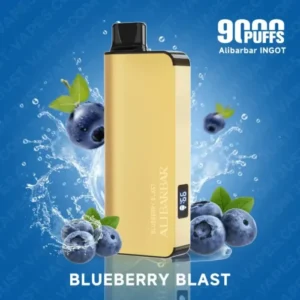 Alibarbar 9000 Puffs-Blueberry blast