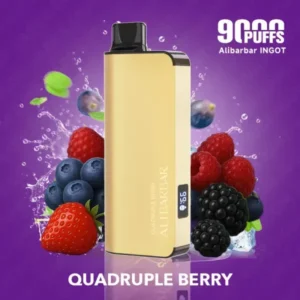 Alibarbar 9000 Puffs-Quadruple berry