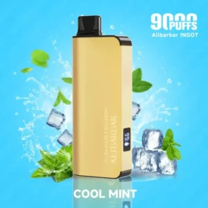 Alibarbar 9000 Puffs-Cool mint