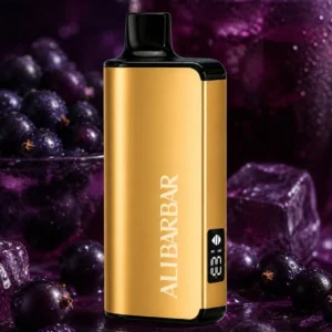 Alibarbar Ltd 9000 Puffs-Ribena