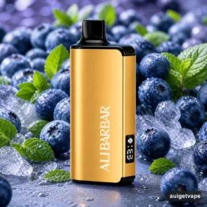 Alibarbar Ltd 9000 Puffs-Blueberry mint